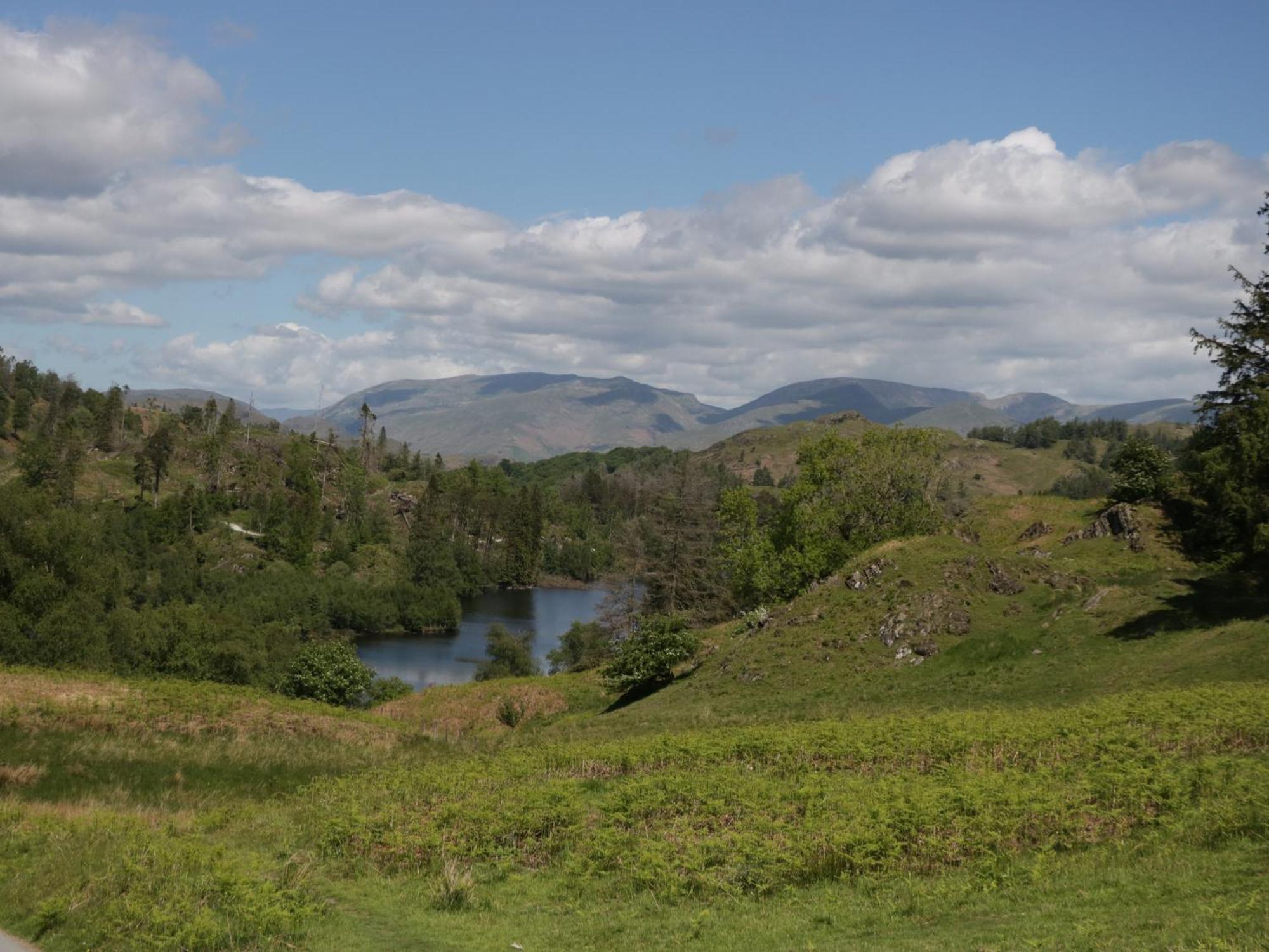 The Bird'S Nest Villa Windermere Exteriör bild